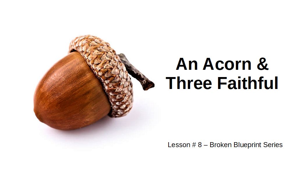 8 An Acorn and Three Faithful