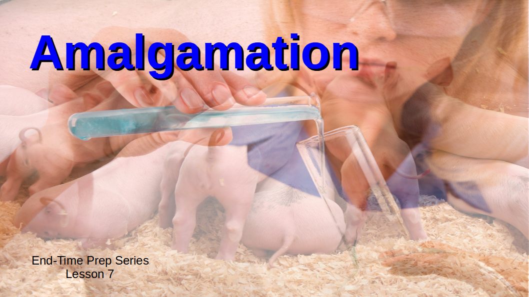 Lesson 7 Amalgamation
