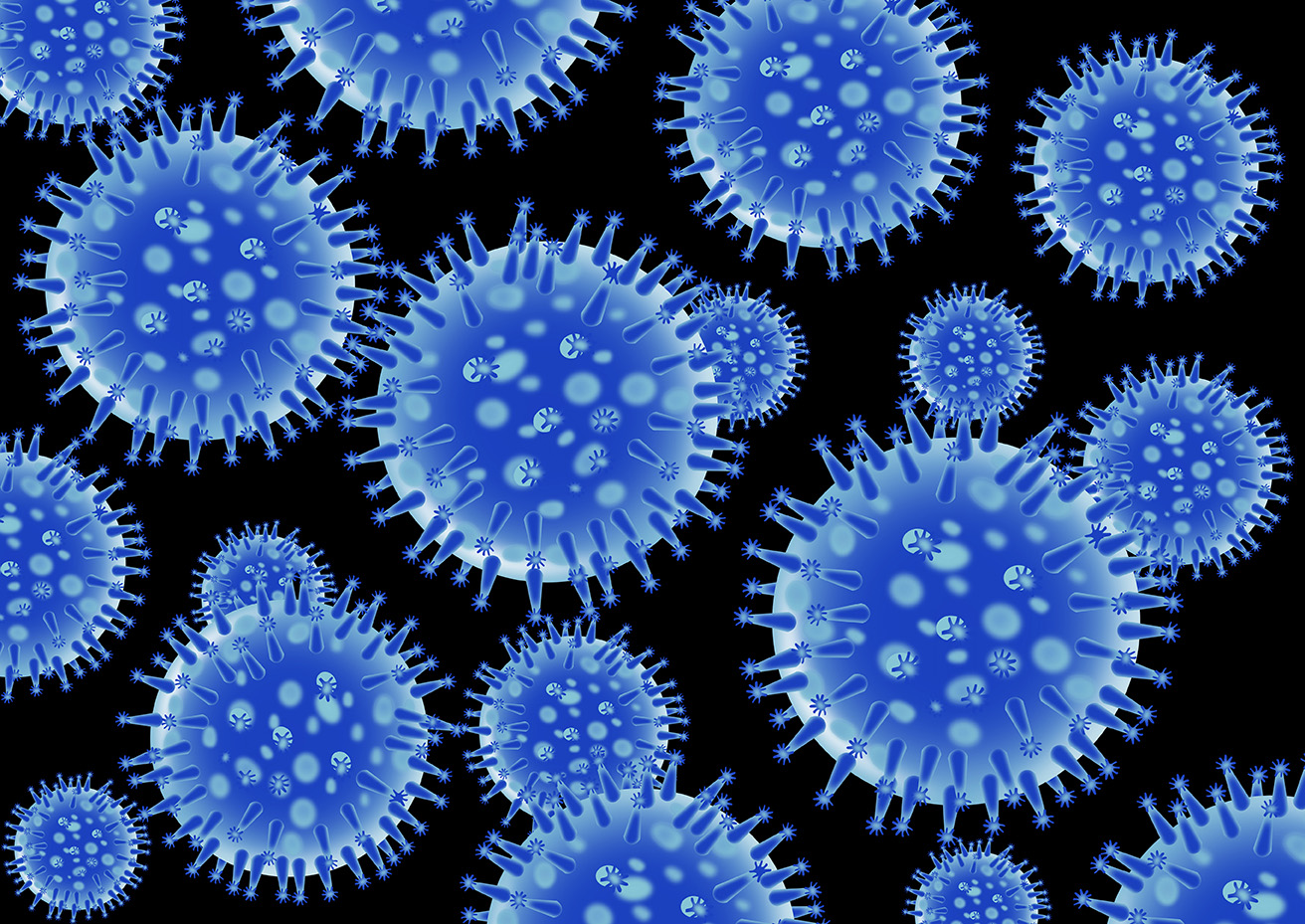 s flu virus structure SBI 300106153