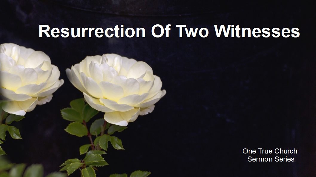 10 5 8 21 Resurrection Of The Two Witnesses pic
