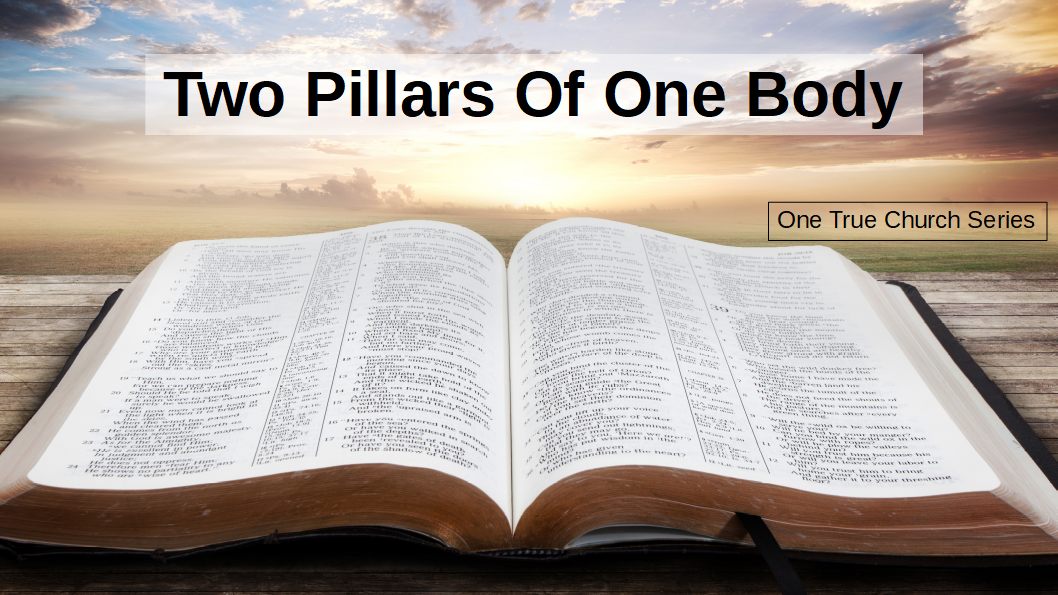 1 Two Pillars Of One Body pic